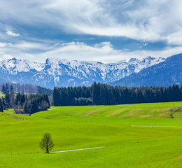 Fototapeta na wymiar German idyllic pastoral countryside in spring with Alps in backg