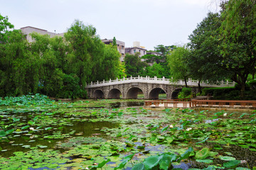Fototapeta premium stone bridge in an Asian garden