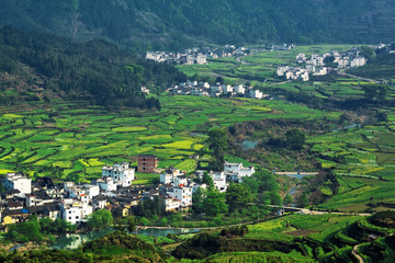 Fototapeta na wymiar Rural landscape in wuyuan county, jiangxi province, china.