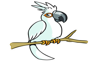 white parrot cartoon
