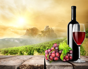 Wine and vineyard
