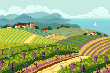 Gordijnen Landelijk landschap met wijngaard © akademik33