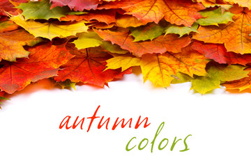 Colorful leaf border