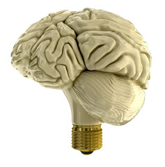 Light bulb human brain