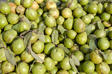 guava fruits in asian market, India
