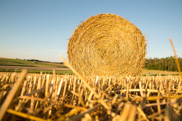 Heuballen