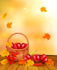 Autumn background with fresh fruit in basket. Healthy Food. Vect