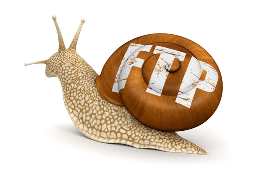 Snail and FTP (clipping path included)