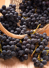 Wine grapes