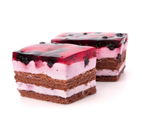 Delicious  cake piece