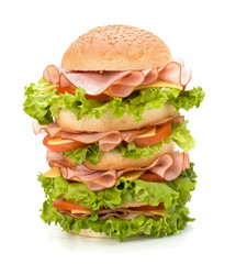 Junk food hamburger