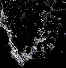 Fototapeta na wymiar Water splashes on a black background