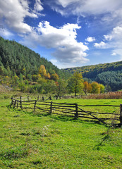 Fototapeta na wymiar Rural landscape in autumn