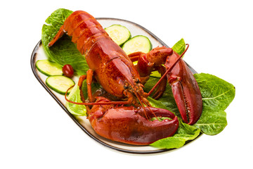 Large Lobster