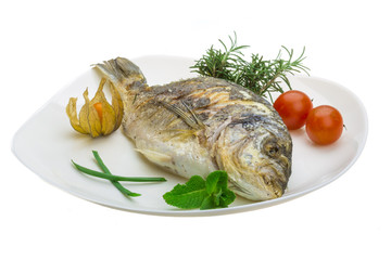 Dorado grilled
