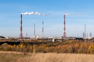 Fototapeta na wymiar high pipe plant against the background of autumn sky