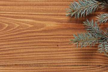blue spruce twig on wooden plank