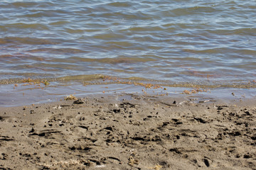 Fototapeta na wymiar water on the shore of the lake as a backdrop