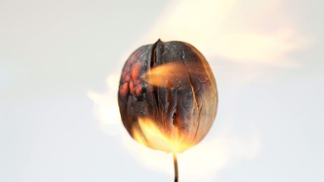 Burning walnut