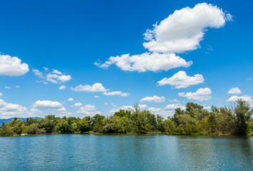 Green trees by the lake on a sunny day, with clouds on the sky
