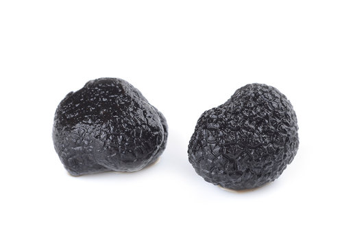 black truffle mushroom