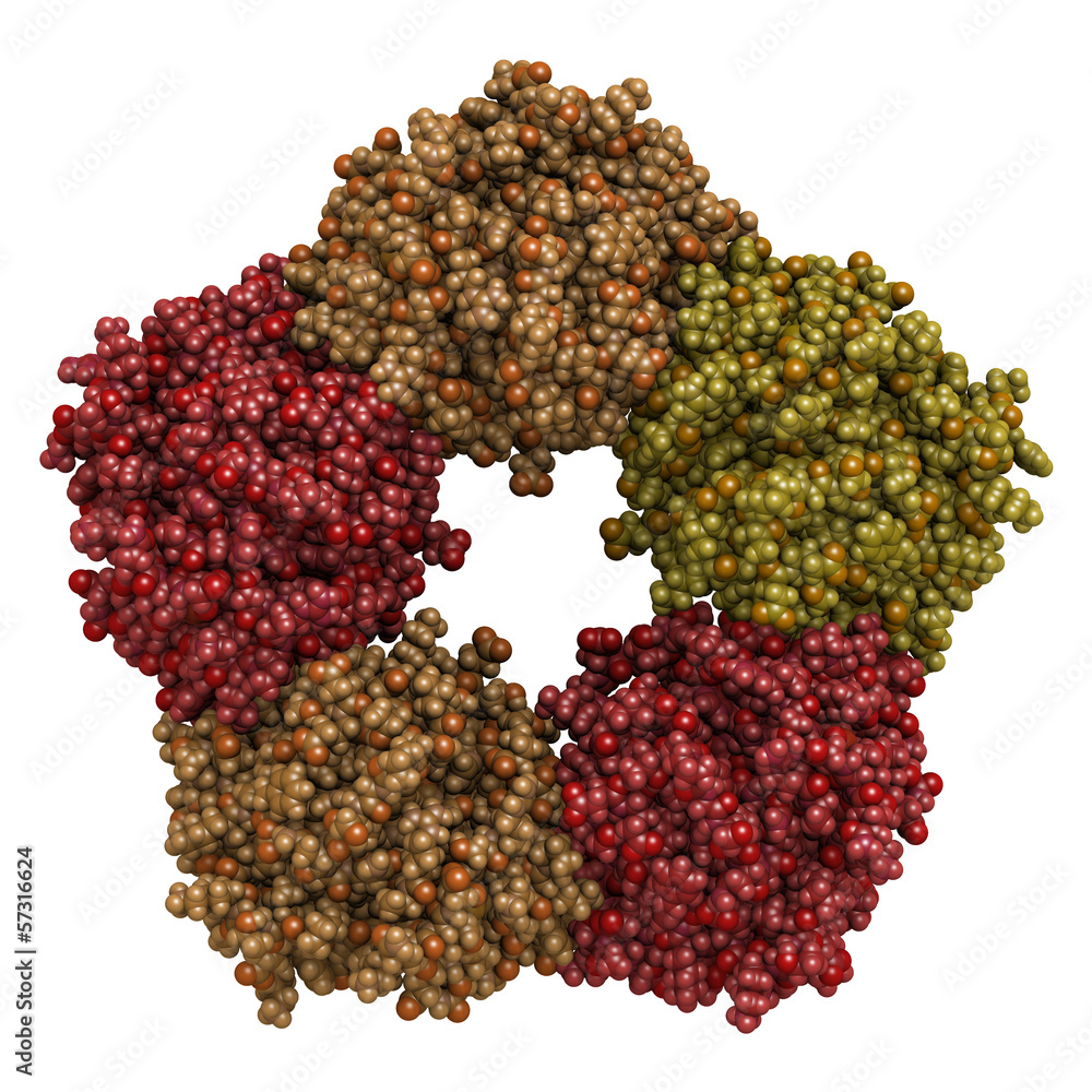 Poster c-reactive protein (crp, human) inflammation biomarker