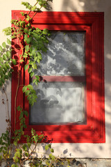 Cute Red Window