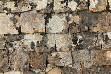 the old tile roof