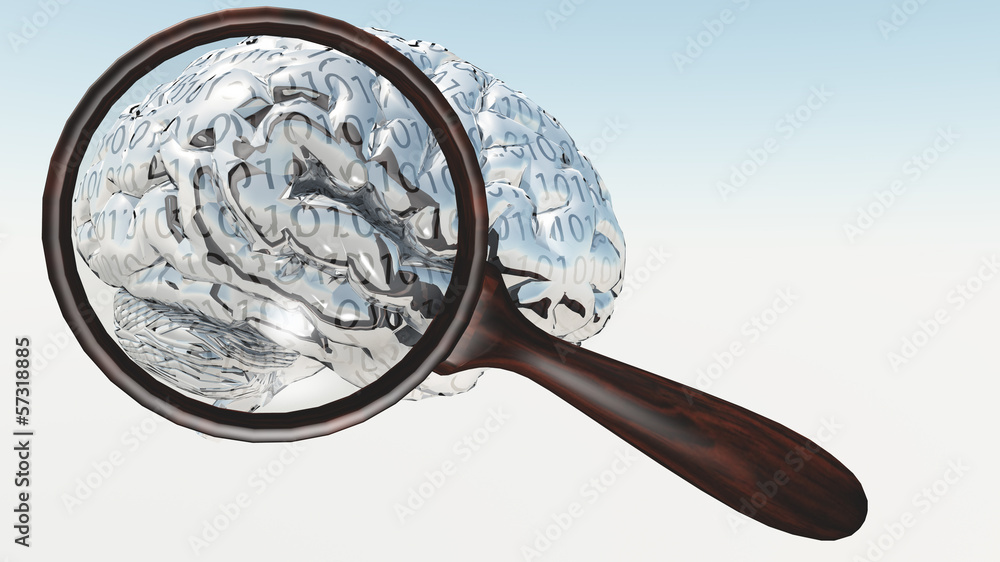 Poster inspection of binary brain