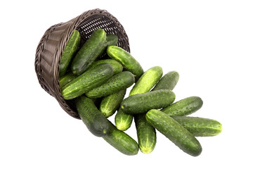 basket with cucumbers
