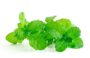 mint leaves isolated on white background