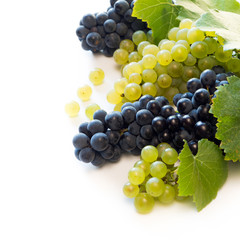 Wine grapes