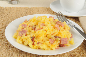 Diced ham and au gratin potatoes