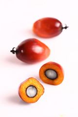 Oil palm fruit