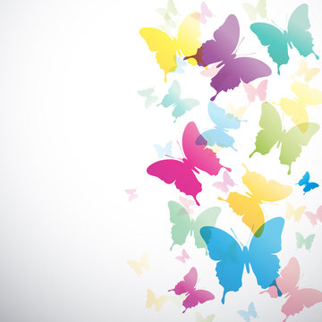 Vector Abstract butterflies background