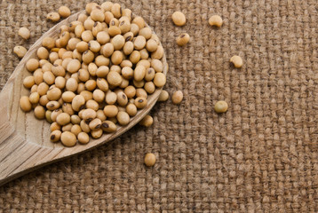 Soybean in wooden ladle