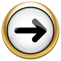 Right arrow icon