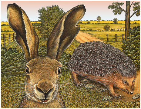 Hase und Ingel.Der Wettlauf