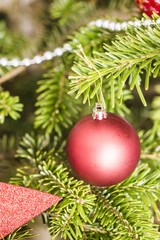 Bauble hanging in christmas tree