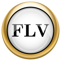 FLV icon