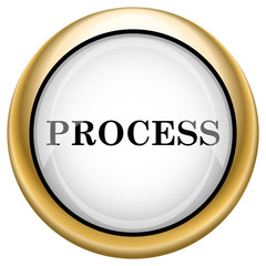 Process icon