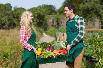 Young couple carrying vegetables