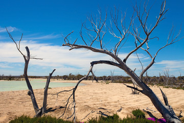 Salty lake in Western australian bush