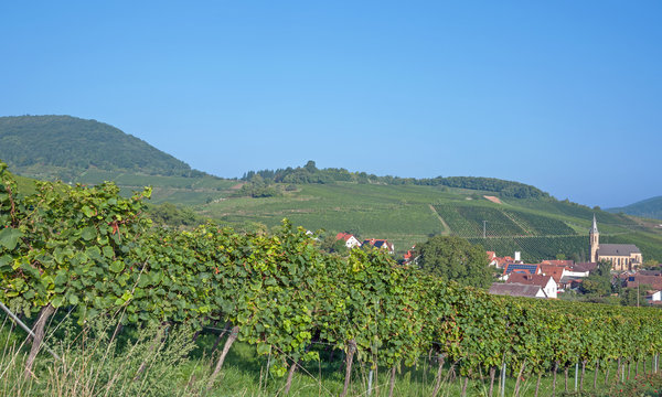 Weinort Birkweiler an der Deutschen Weinstrasse