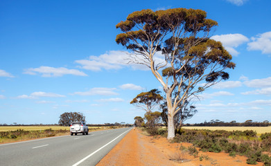 Route dans le bush australien occidental