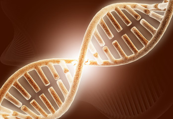 dna