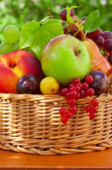 Fresh fruit basket  in the summer garden. 