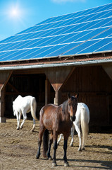 Solaranlage auf Pferdestall