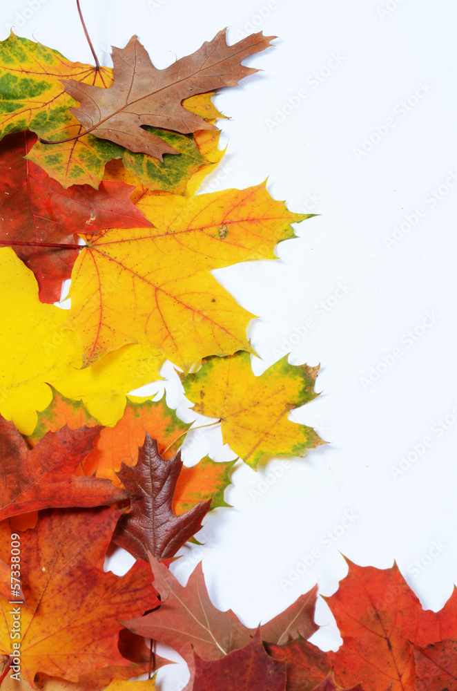 Poster autumn leaves with space for your text