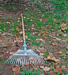 rake on the ground